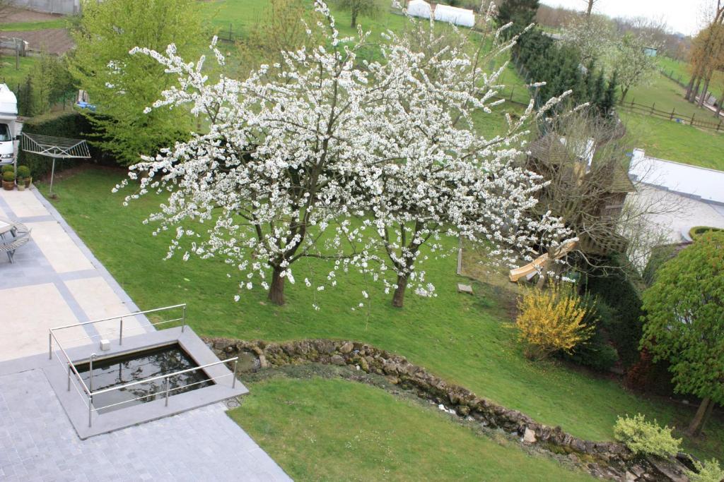Hotel Gasthof Kapelhof Erpe-Mere Экстерьер фото